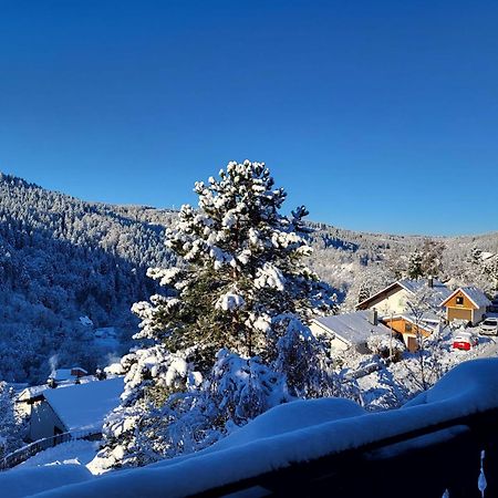 Grosse Ferienwohnung In Ruhiger Lage Mit Toller Aussicht In Triberg Triberg im Schwarzwald Eksteriør billede