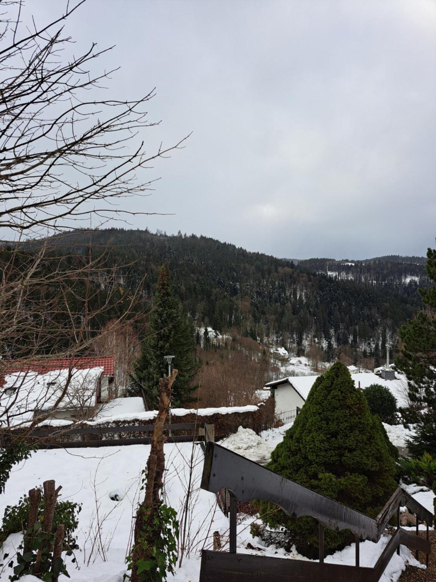 Grosse Ferienwohnung In Ruhiger Lage Mit Toller Aussicht In Triberg Triberg im Schwarzwald Eksteriør billede