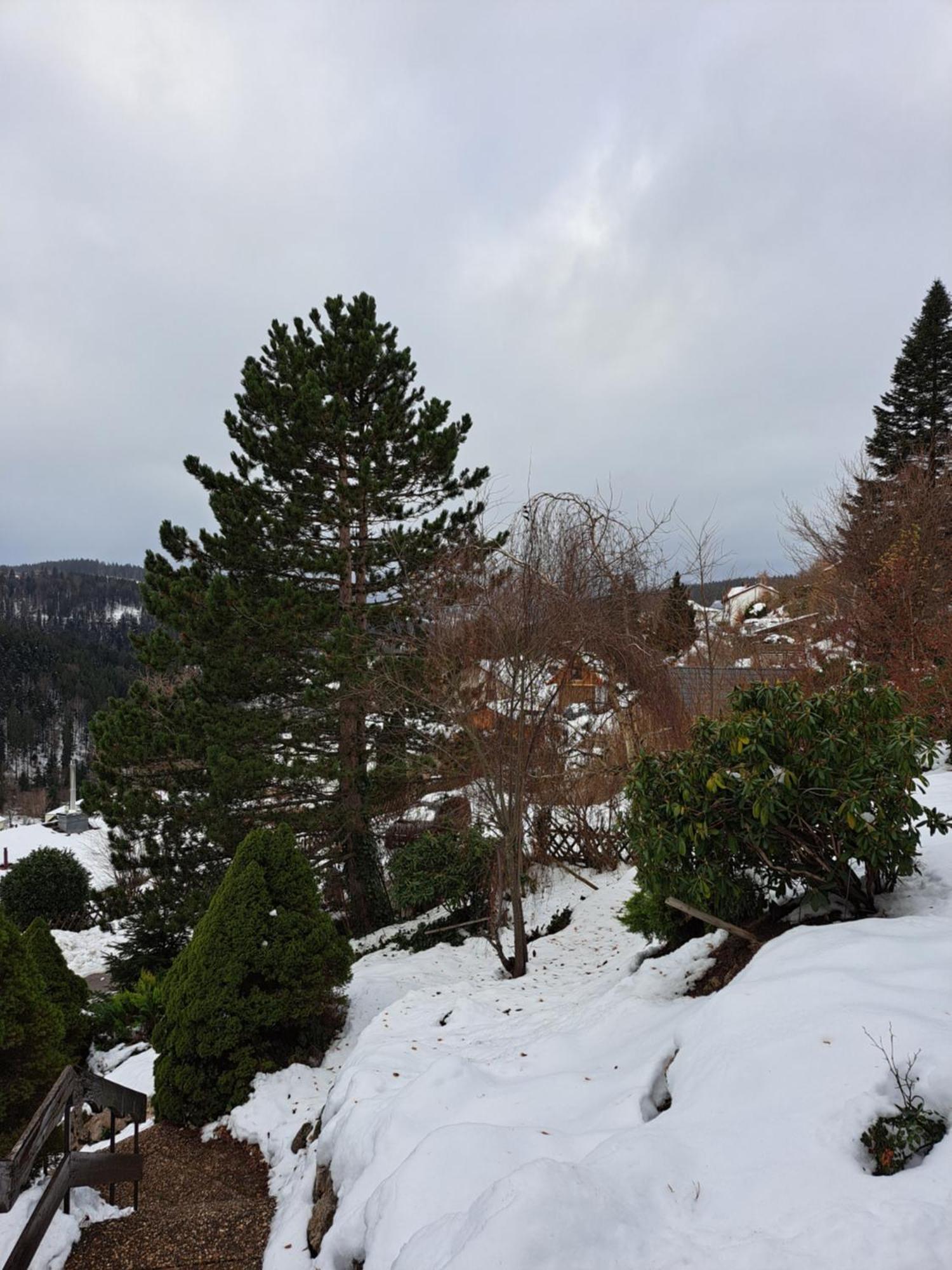 Grosse Ferienwohnung In Ruhiger Lage Mit Toller Aussicht In Triberg Triberg im Schwarzwald Eksteriør billede
