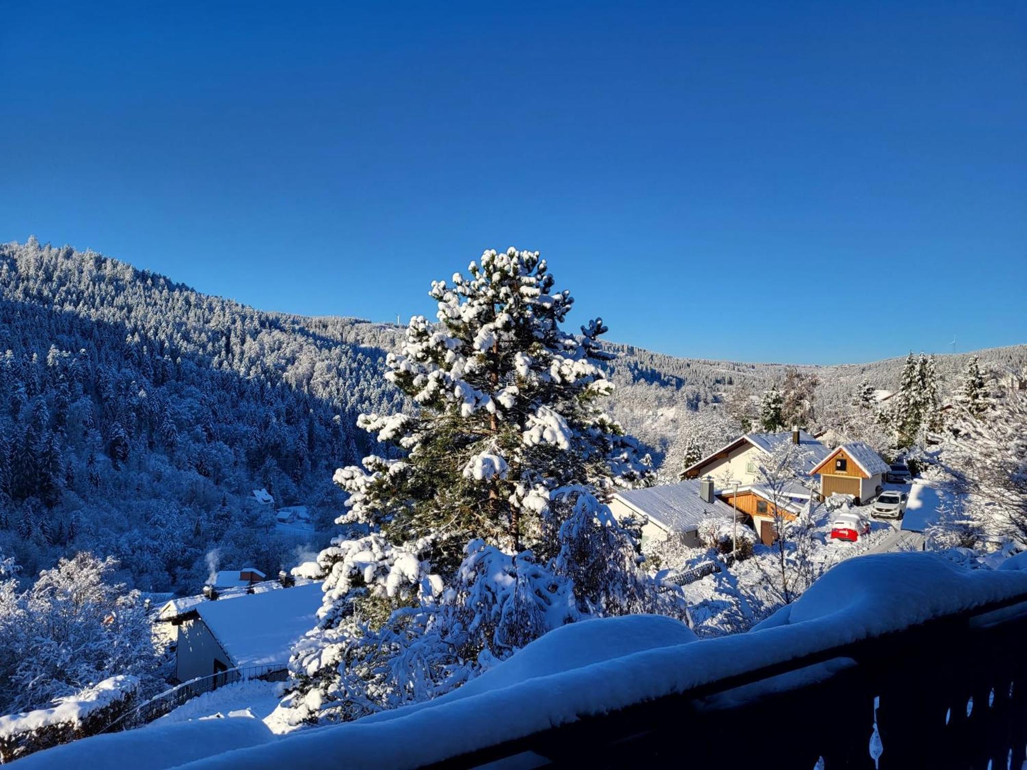 Grosse Ferienwohnung In Ruhiger Lage Mit Toller Aussicht In Triberg Triberg im Schwarzwald Eksteriør billede