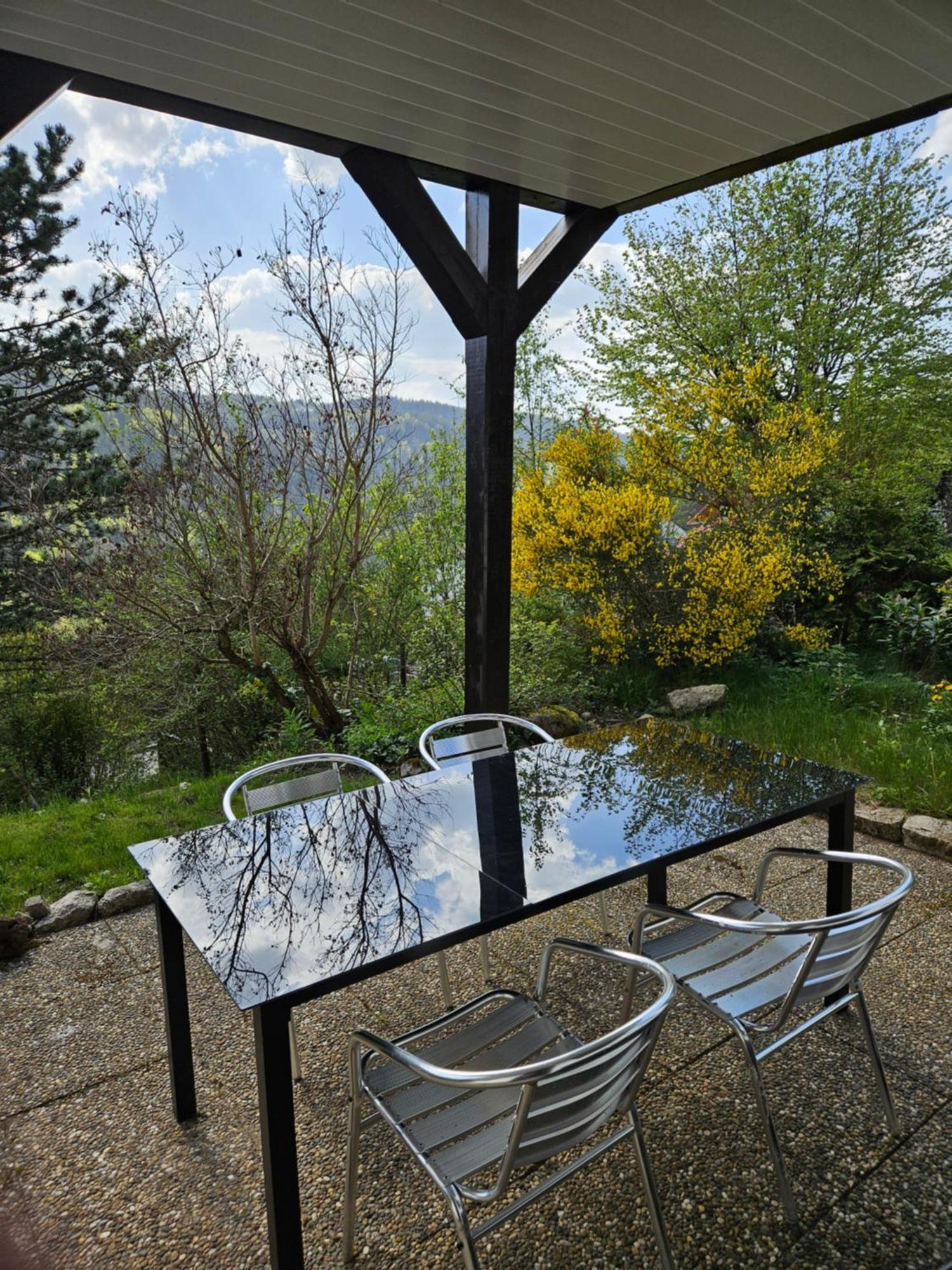 Grosse Ferienwohnung In Ruhiger Lage Mit Toller Aussicht In Triberg Triberg im Schwarzwald Eksteriør billede